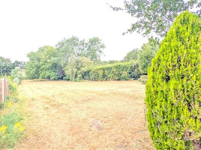 Picture 20